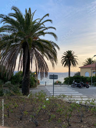 Crosswalk surrounded by palm trees and motorcycles parked with a blue sea background