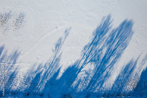 Top drone view of blue shadows of trees on white snow.