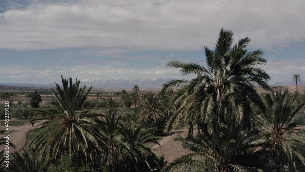 A Beautiful aerial shot over a palm grove in Ouarzazate with a view on the snowing atlas mountains A Beautiful aerial shot over a palm grove in Ouarzazate with a view on the snowing atlas mountains