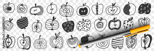 Apple fruits with patterns doodle set. Collection of hand drawn apple edible fruits cut in halves with various patterns dots curves lines stars isolated on transparent background