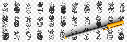 Tropical pineapple fruits doodle set. Collection of hand drawn fresh ripe exotic fries pineapples tasty delicious sweet for diet clean eating weight loss food isolated on transparent background