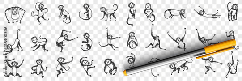 Monkeys enjoying life doodle set. Collection of hand drawn monkey animals primate playing hanging on branches and trees eating sleeping feeling happy for children isolated on transparent background