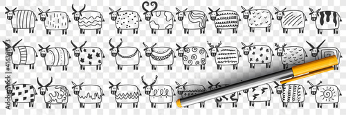 Cute cows in rows doodle set. Collection of hand drawn funny cute cows animals mammals on farm with various patterns on bodies and shapes of horns isolated on transparent background