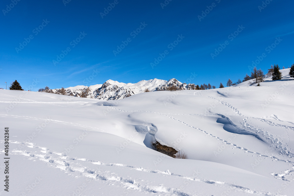 Snow capped mountains in winter of the Monte Carega, called the small Dolomites from the Altopiano della Lessinia (Lessinia High Plateau). Veneto and Trentino Alto Adige, Italy, Europe.
