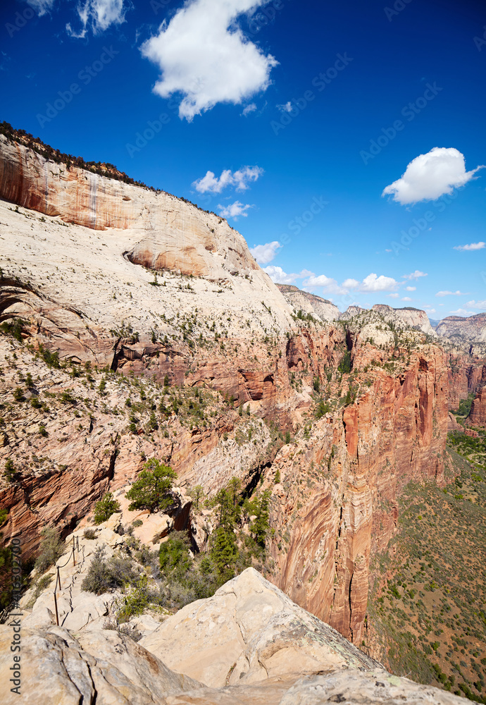 Fototapeta premium View from Angels Landing in Zion National Park, Utah, USA.