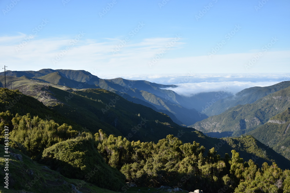 Fototapeta premium Lewady madera Portugalia 25 fontes