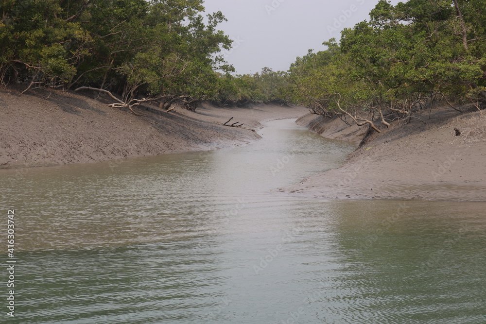 Beautiful water passage, khanri in Sundarban, West Bengal,  India