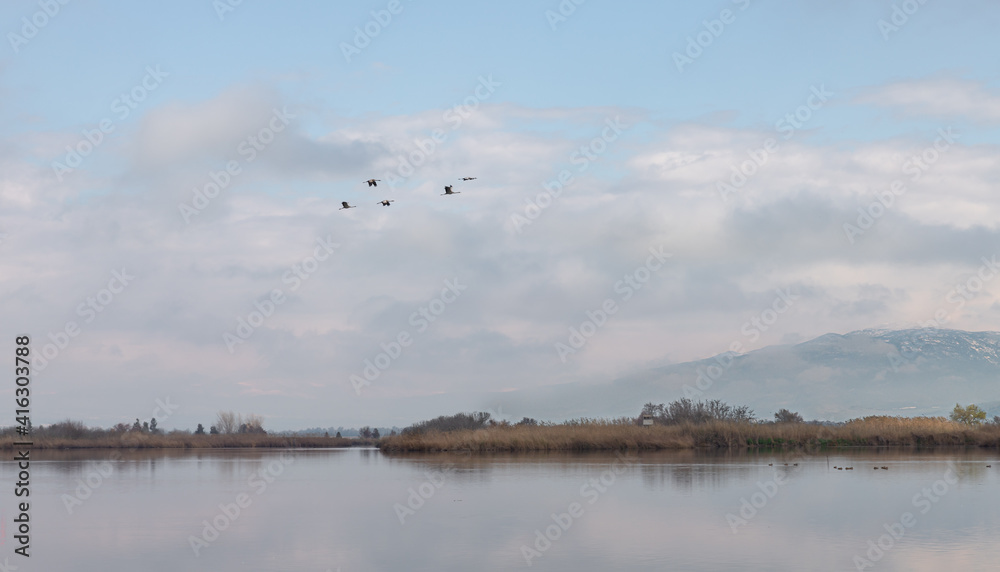 Fototapeta premium Early morning at a reservoir in the nature reserve at Lake Hula in northern Israel.