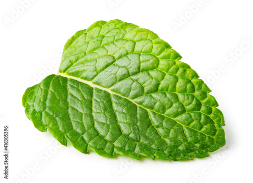 Mint leaf isolated. Fresh mint leaf on white background.