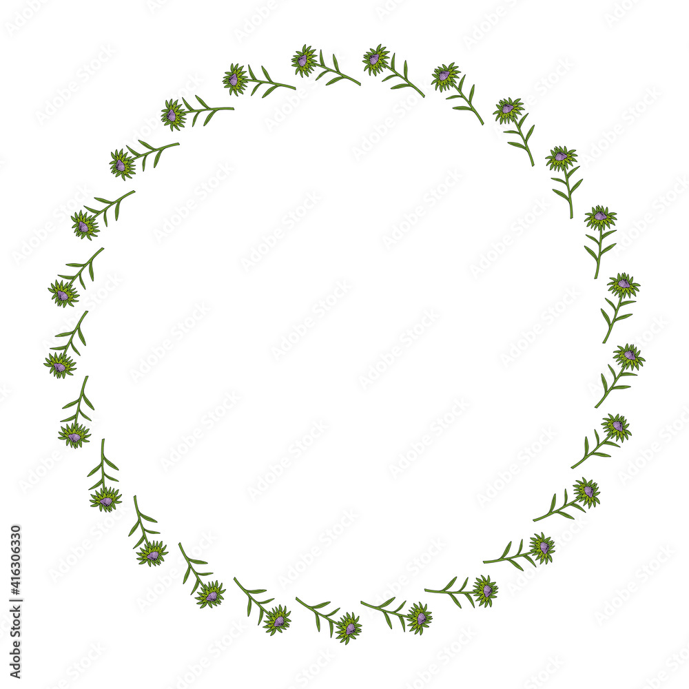 Round frame with violet aster buds on white background. Doodle style. Vector image. Round frame with violet aster buds on white background. Doodle style. Vector image.