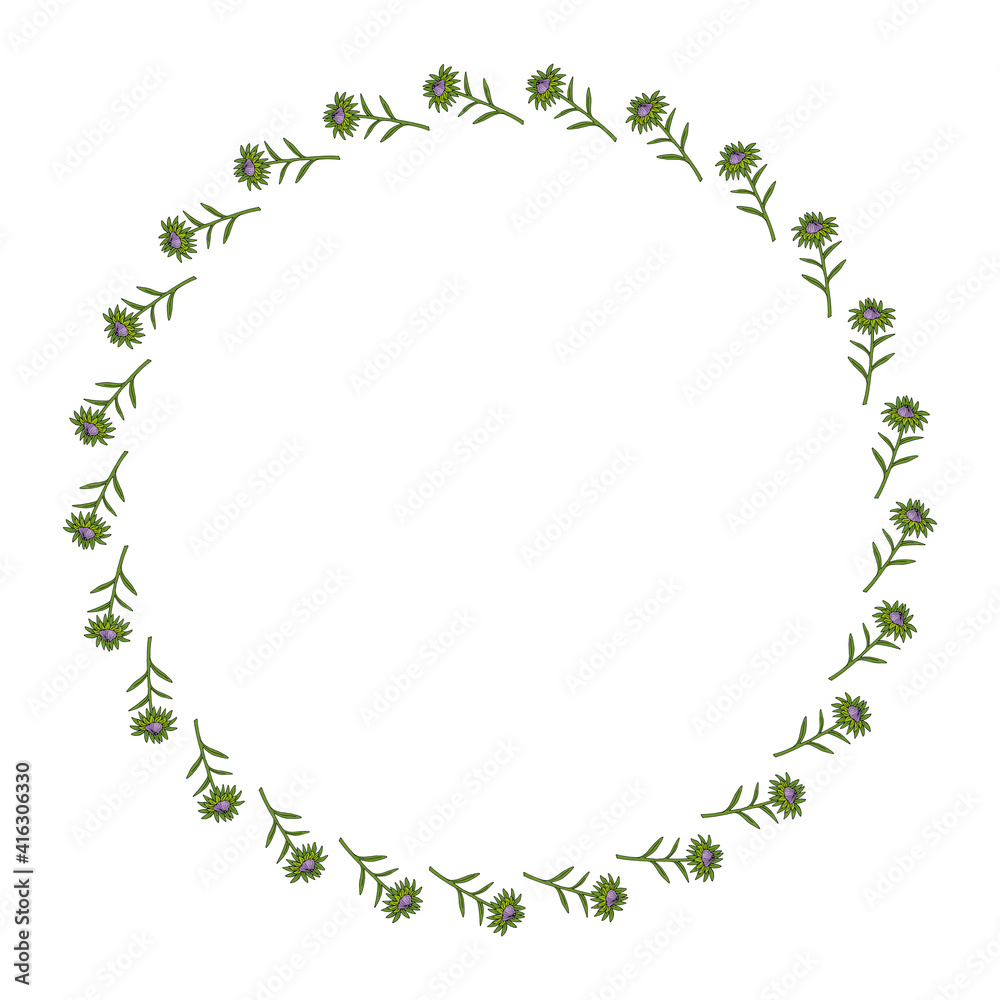 Round frame with violet aster buds on white background. Doodle style. Vector image.