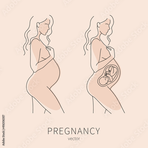 Beautiful silhouette of pregnant woman. Pregnant woman vector icon in trendy linear style. Gynecology clinic logo, design element for hospital website. 