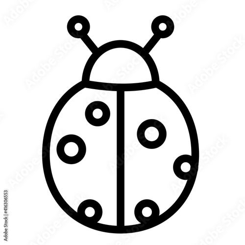 ladybug