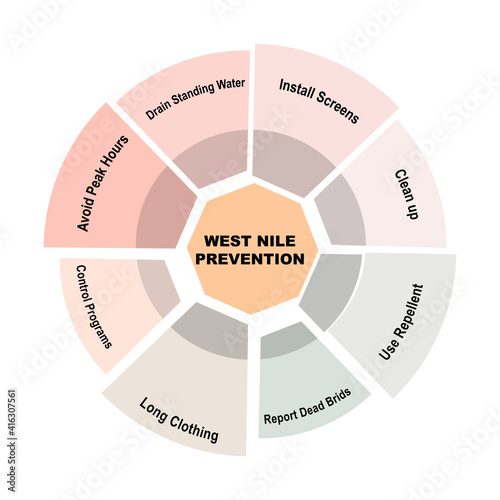 Diagram concept with West Nile Prevention text and keywords. EPS 10 isolated on white background