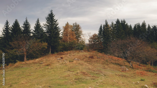 Autumn landscape at mountain forest aerial. Environment at mount nature beauty. Pine fir and leafy trees at rural scene. Plants at green and yellow tones. Travel to Carpathians wood, Ukraine, Europe