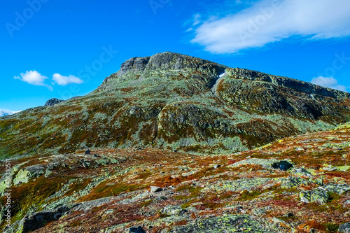 Hjartdal, in southern Norway, an area full of nature with spectacular forests, lakes and mountains photo