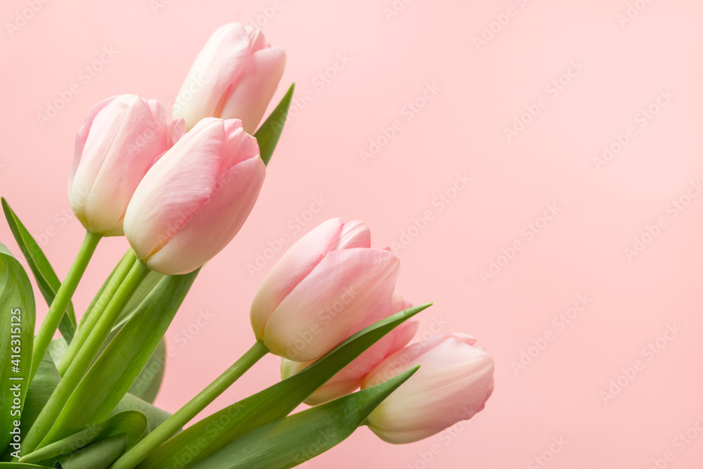 Bouquet of romantic pink tulips. Spring greeting card with copy space.