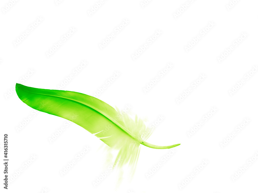 Beautiful color feather isolated on white background Beautiful color feather isolated on white background