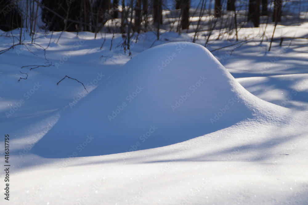 Obraz premium winter landscape with snow