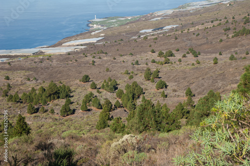 Tamanca Protected Landscape.. photo