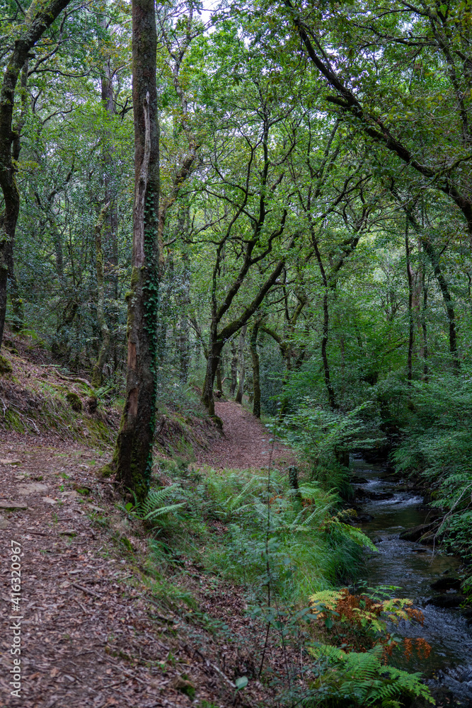 Trail PR-G 195, Gandaras river, Vilasantar, Province of A Coruña, Galicia, Spain