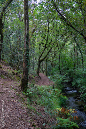 Trail PR-G 195, Gandaras river, Vilasantar, Province of A Coruña, Galicia, Spain