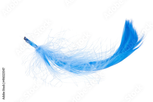 Elegant blue feather isolated on the white background © Liza
