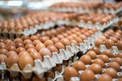 egg