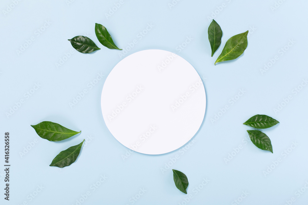 Fresh green leaves and white empty blank on pastel blue background.