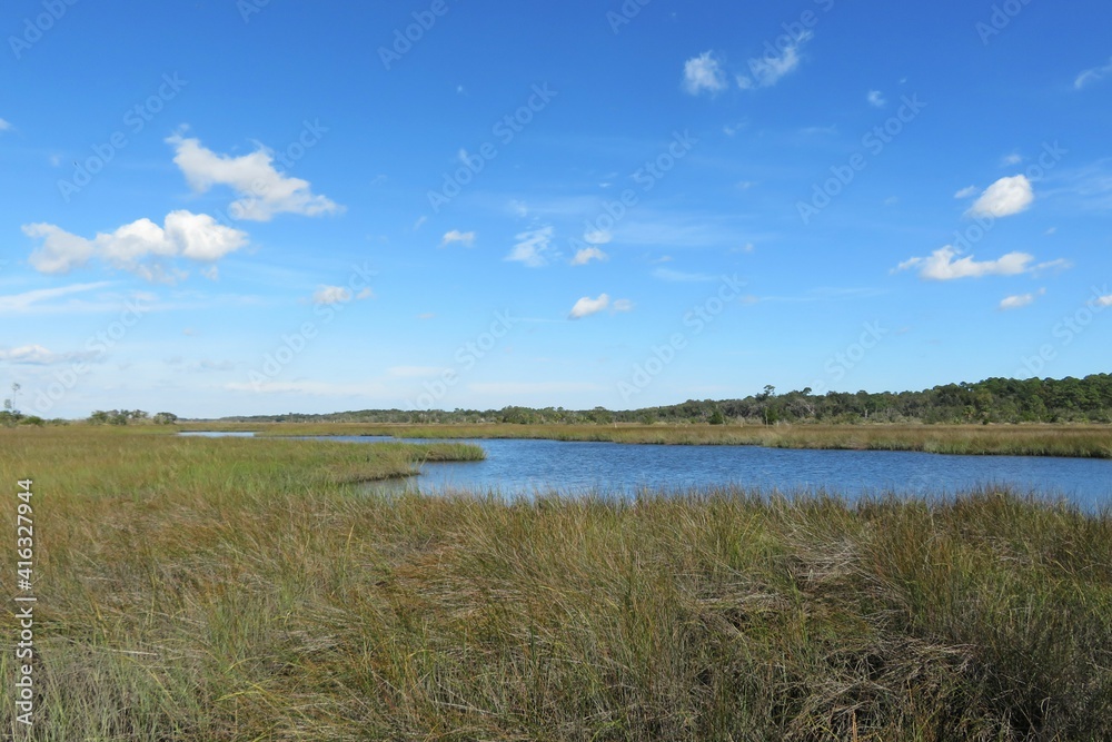 Beautiful view of the rivers and marshes of North Florida nature