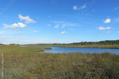 Fototapeta Beautiful view of the rivers and marshes of North Florida