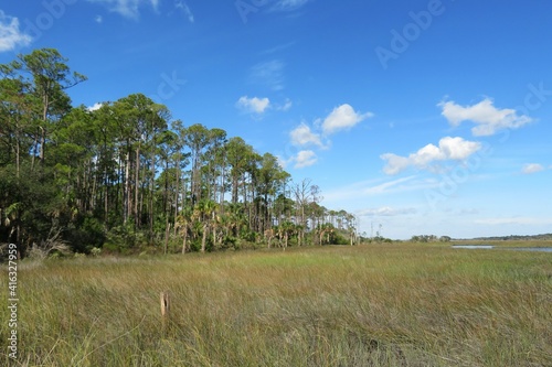 Fotografie, Obraz Beautiful view of marshes and rivers in North Florida