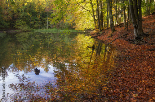 jeziorko duszatyńskie jesienią