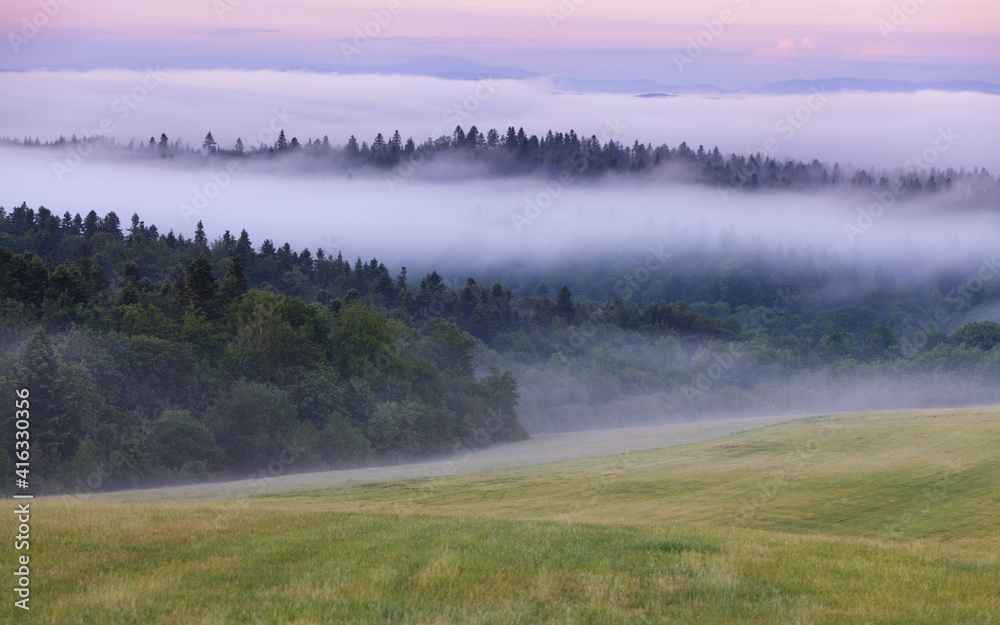 custom made wallpaper toronto digitalautumn fog in a mountain valley