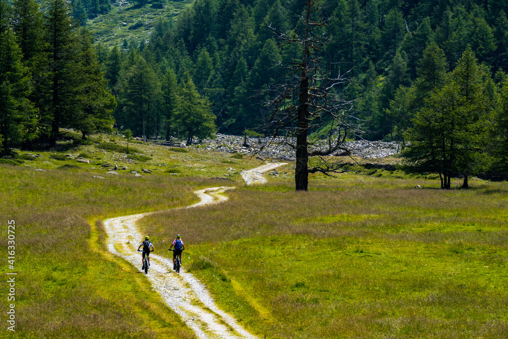 two mountain bikers on a gravel road along a alpine pasture