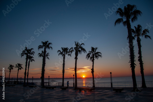 Fototapeta Naklejka Na Ścianę i Meble -  Palm trees sunset gold blue sky backlight Mediterranean.