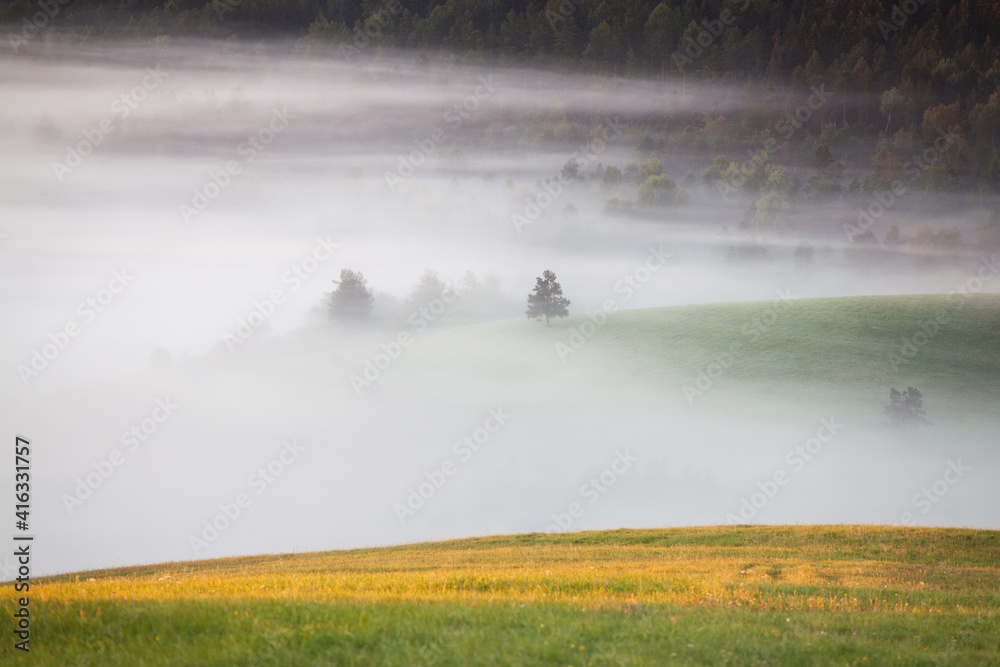 Fototapeta premium fog in a mountain valley