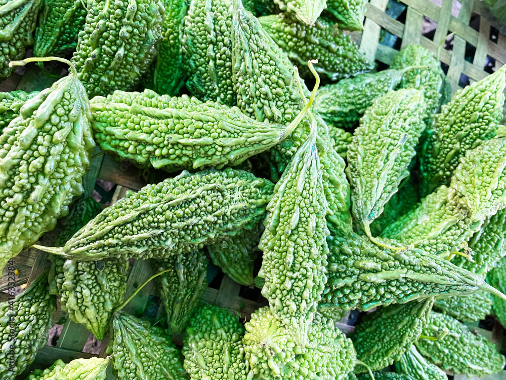 Balsam apple, Balsam pear, Bitter cucumber or Bitter gourd herb the Asian Balsam apple, Balsam pear, Bitter cucumber or Bitter gourd herb the Asian