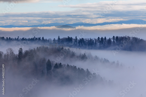 fog in the forest in the mountains, Bieszczady © uranos1980