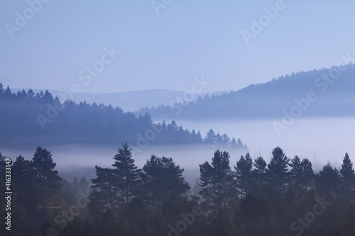 Fototapeta Naklejka Na Ścianę i Meble -  misty morning on the Bieszczady mountains