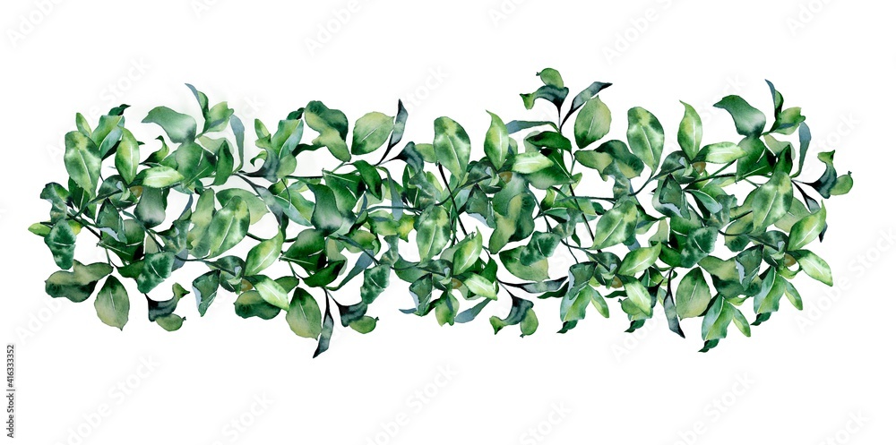 Watercolor illustration.  Border made of green leaves.  For printing, cards, invitations, wrapping paper, envelopes, weddings, design