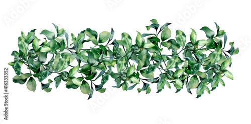 Watercolor illustration.  Border made of green leaves.  For printing  cards  invitations  wrapping paper  envelopes  weddings  design