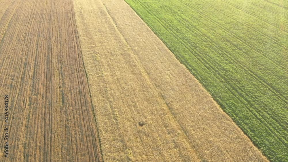 Research sites with different varieties of wheat, drone view. Research sites with different varieties of wheat, drone view.