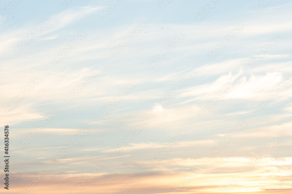 Fototapeta premium sky background during sunrise with light clouds