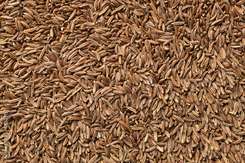cumin seed close-up background pattern
