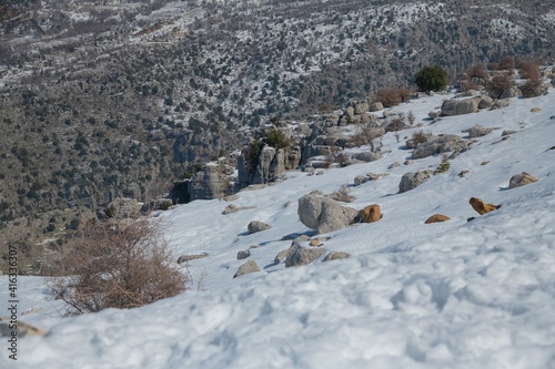 Lebanon mountain cliff with karst stones in winter