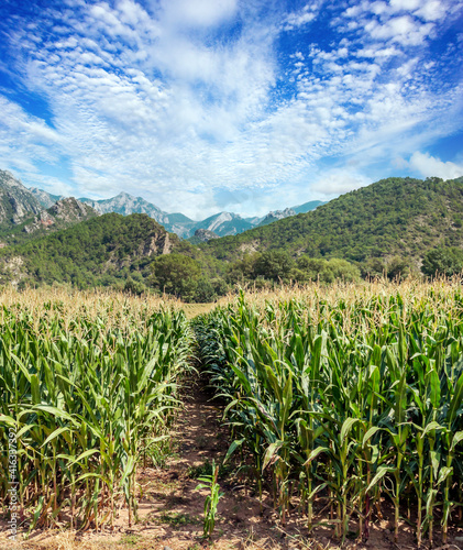 Agriculture of Spain