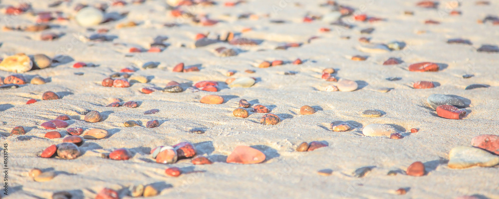 Fototapeta premium small pebbles on the golden sand of the beach under the sun