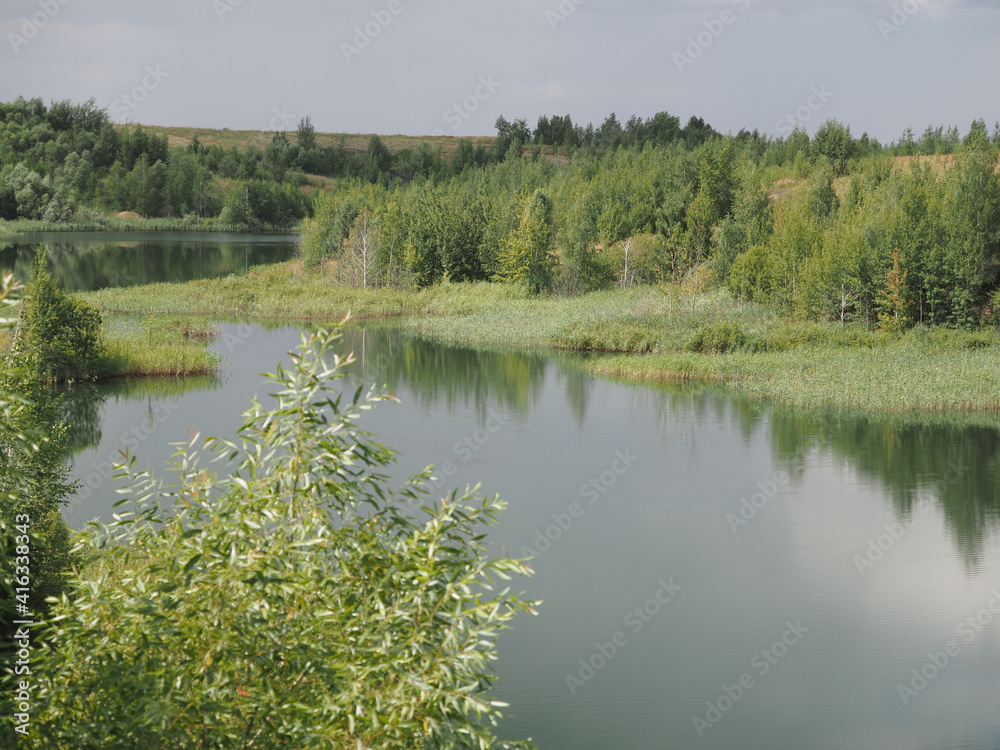 lake in the forest