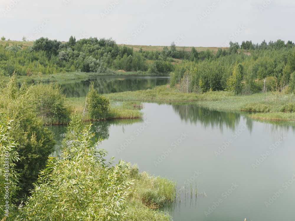 lake in the forest
